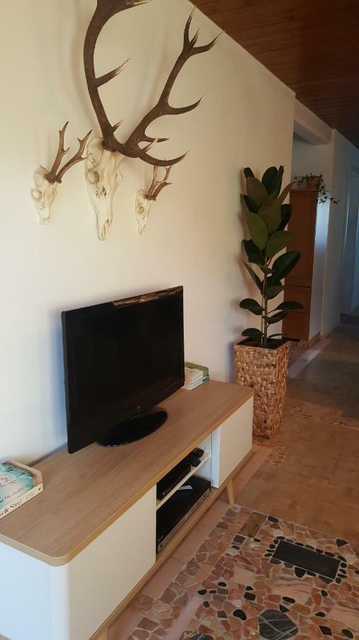 Appartement Unterbergblick Kössen Екстериор снимка